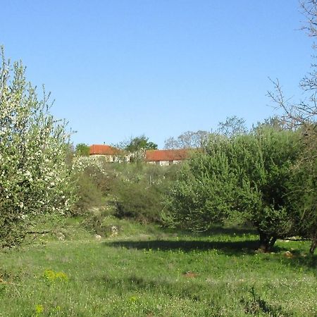 Arcadian Stone House In A Quiet Landscape, Leonidion Villa Poulithra Exterior photo